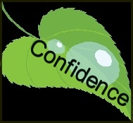 Confidence