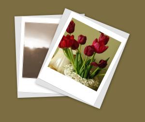 Remember a new more positive image instead! 